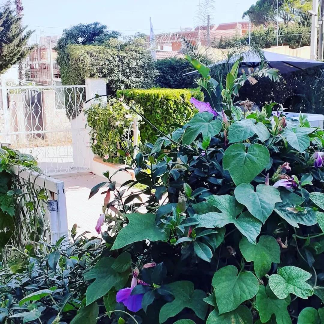 Sottovento Marzamemi Rooms&Relax Dış mekan fotoğraf
